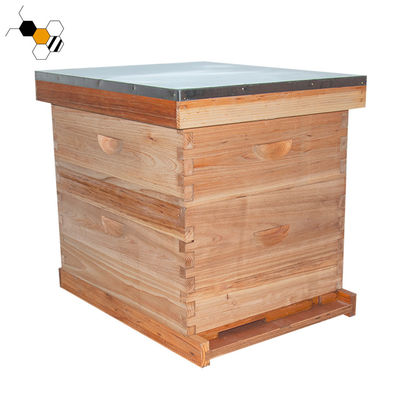 20mm Thickness Langstroth Beehive