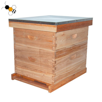 20mm Thickness Langstroth Beehive